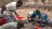 کشف رد پاهای چند میلیون ساله اجداد انسان در تانزانیا