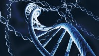 سرمایه‌گذاری 65 میلیون دلاری دارپا در توسعه فناوری‌های ویرایش ژن