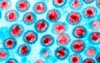 تولید آنتی بادی مهندسی‌شده برای نابودی اچ آی وی