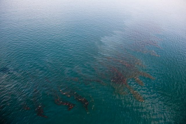 مناطق مرده دریایی در آب‌های جنوبی کشور در حال افزایش است