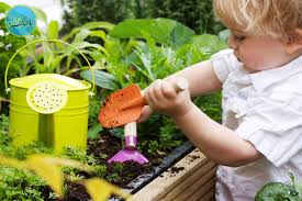 آموزش مهارت‌های زندگی به کودکان با کمک باغبانی