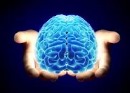 15 شگفتی مغز انسان که نمی دانستید!