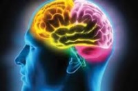 دو عامل پنهان اما موثر در بروز سکته مغزی