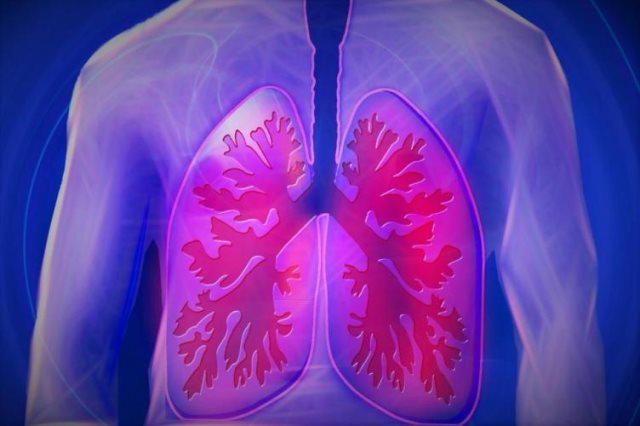 دستگاه انتخاب ریه مناسب پیوند، به یاری پزشکان می‌آید