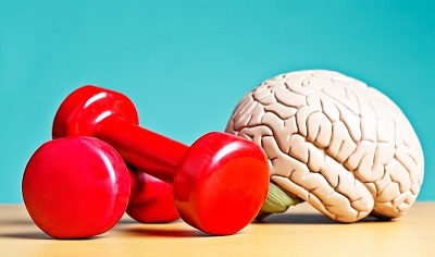 ورزش چگونه بر همه‌ی ابعاد مغز انسان اثر می‌گذارد؟