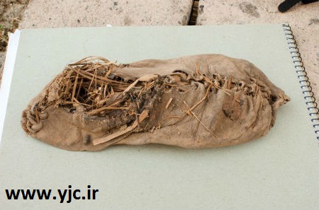 قدیمی‌ترین آثار کشف شده روی زمین/ عکس