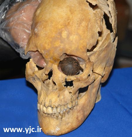 قدیمی‌ترین آثار کشف شده روی زمین/ عکس