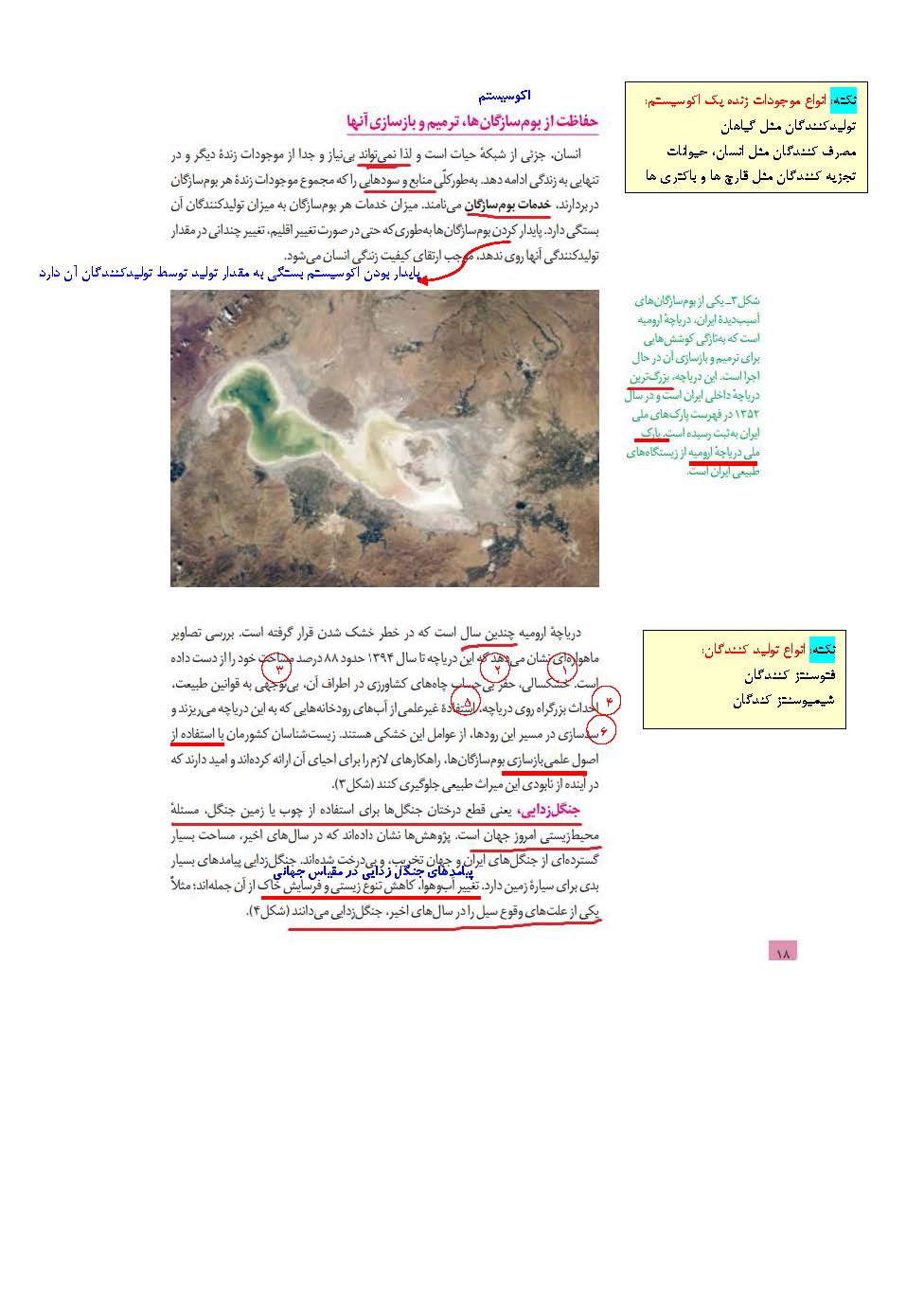 چگونه متن کتاب درسی را خوب بخوانیم!