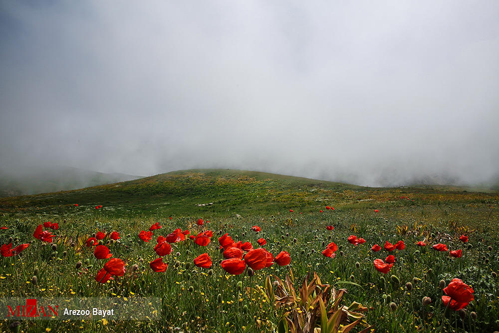 ماسال، قطعه‌ای از بهشت