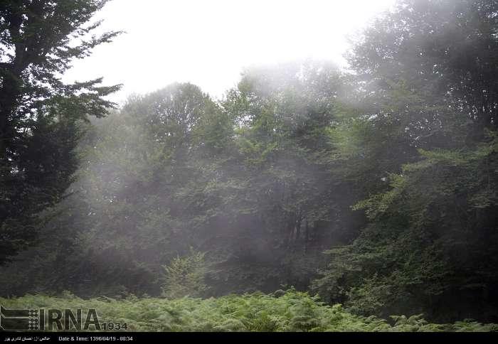 آشنایی با منطقه زیبای حفاظت شده مازیچال