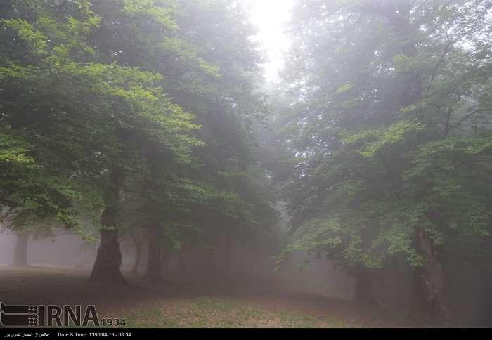 آشنایی با منطقه زیبای حفاظت شده مازیچال