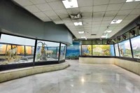 موزه‌های تاریخ طبیعی کشور برای بچه‌های ایران رایگان می‌شود