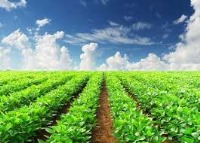 ابتکار جوان مازندرانی برای جلوگیری از بروز خسارت به کشاورزی