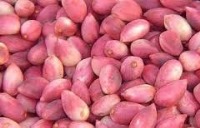 تولید نگهدارنده مواد غذایی  این بار از پوست سبز پسته!