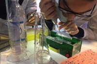 برترین دانشمندان علوم پزشکی معرفی شدند