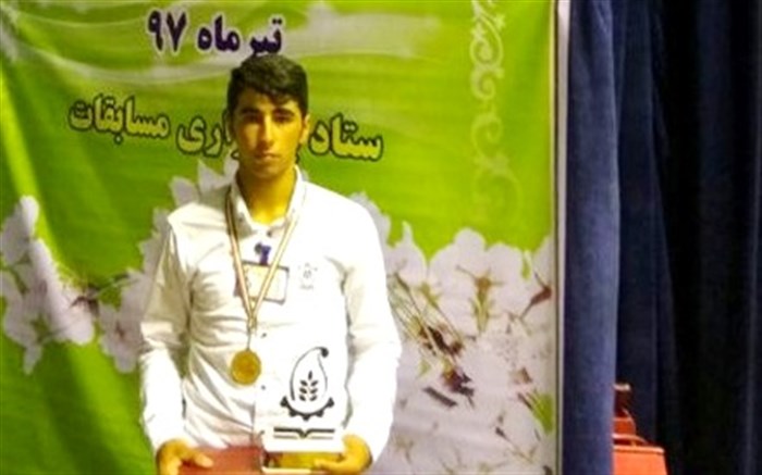 رتبه برتر رشته زنبورداری کشور در مورد اشتغال چه می‌گوید؟