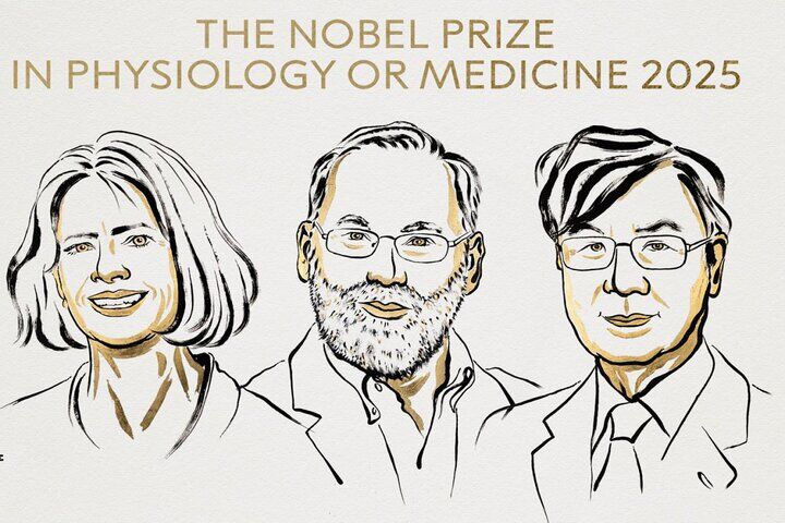 برندگان جایزه نوبل پزشکی 2025 اعلام شدند