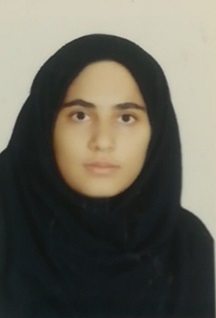 تحلیل دقیق، قدم ثابت: نگاهی به مسیر موفقیت سما کتابی