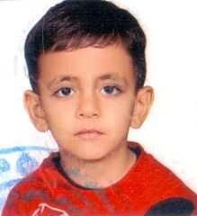 قهرمانان پاییز و راز موفقیتشان _ امیررضا علی دادی