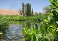 آب چشمه‌ی «دیمه» با خواص درمانی فوق‌العاده، گواراترین آب جهان