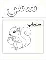 آموزش الفبا 16 (حرف س)