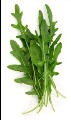آشنایی با خواص منداب؛ گیاه دارویی