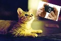 عکاسی با موبایل در نور کم