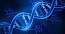 راز شیوه دفاعی منحصربفرد DNA در برابر پرتو های فرابنفش کشف شد