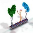 ساخت داربست سه بعدی دی ان ای برای واکنش های بیوشیمیایی