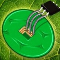 ساخت حساس‌ترین دماسنج جهان با نانولوله کربنی