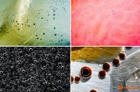 تصاویر زیبا از ترکیب مایعات حین آشپزی