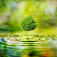 برای حفظ محیط زیست چه باید کرد