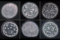 نمایی میکروسکوپی از اشک‌های بلورین انسان