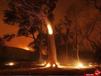 2016 رکوردار جهانی گرمترین سال تاریخ