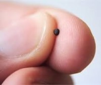 ساخت نانوماشین برای تشخیص ابولا