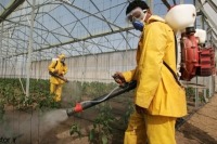 جلوگیری از اثرات سمی آفت‌کش‌ها به کمک نانوذرات