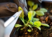 فناوری نانو؛ انقلاب سبز در صنعت کشاورزی