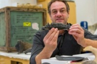 دوران طولانی جنینی عامل اولیه انقراض دایناسورها