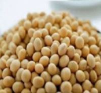 تولید گرافن از دانه‌های سویا