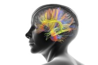 مغز انسان همیشه یک «راه‌حل» دیگر دارد