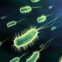 کشف میکروب‌هایی با قدمت 60 هزار سال در فضا!