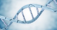 ترمیم DNA راهی برای جوان سازی و جلو گیری از پیری