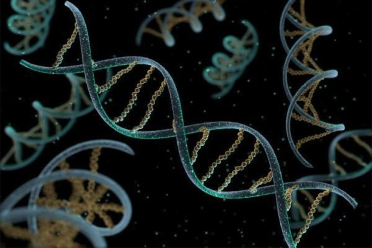 RNA:در جستجوی نخستین مولکول همانندساز که آغازگر حیات اولیه بود