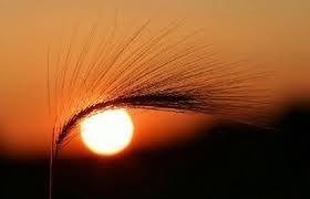 خورشید در حال از دست دادن کنترلِ منظومه شمسی است