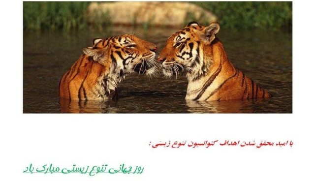 تنوع زیستی در یک نگاه