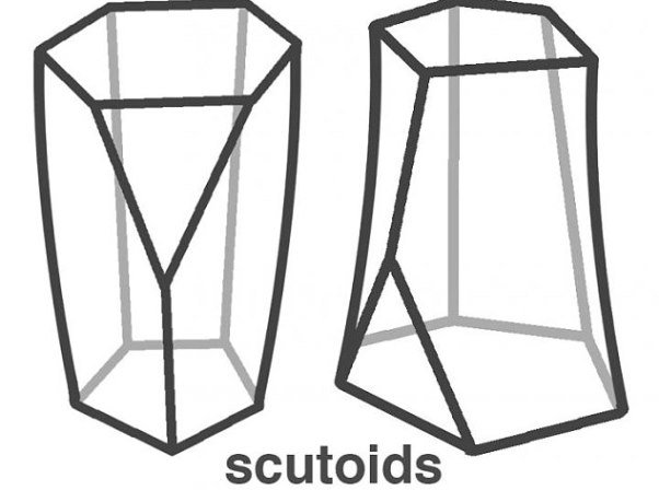 یک شکل سه بعدی جدید در بدن کشف شد