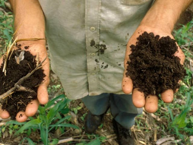 فراخوان محققان برای افزایش کربن خاک