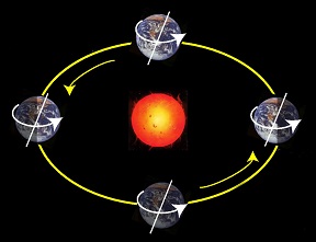انواع حرکت‌های زمین