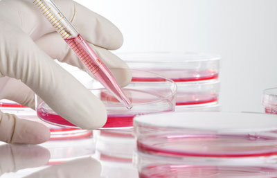 تولید ارگان‌ها یا شبه ارگان‌ها از کاربردهای اصلی سلول‌های بنیا