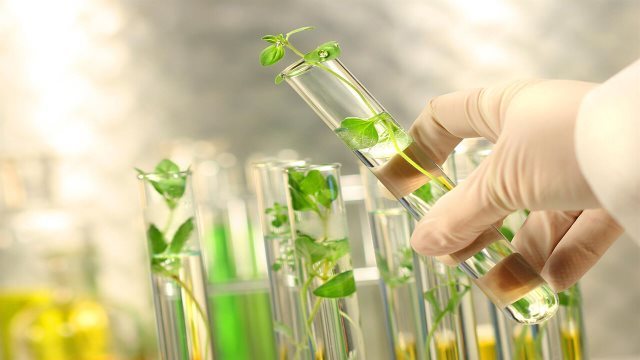 تولید نانو کاتالیست سبز برای کنترل فرآیند تولید دارو